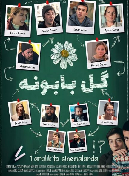 گل بابونه
