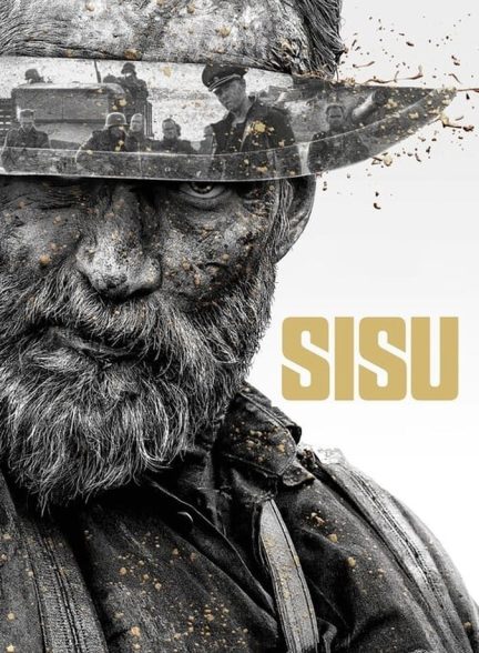 سیسو